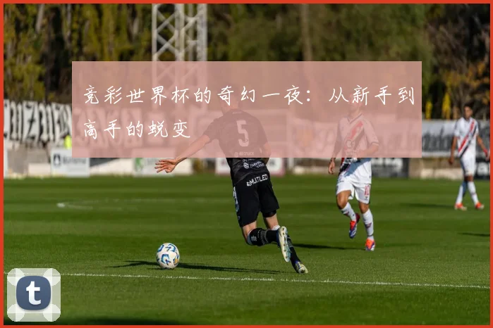 竞彩世界杯的奇幻一夜：从新手到高手的蜕变