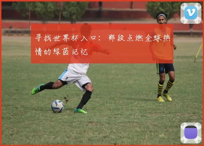 寻找世界杯入口：那段点燃全球热情的绿茵记忆