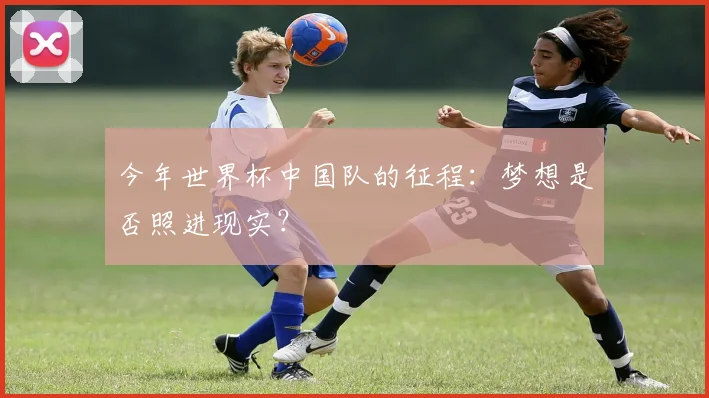今年世界杯中国队的征程:梦想是否照进现实?