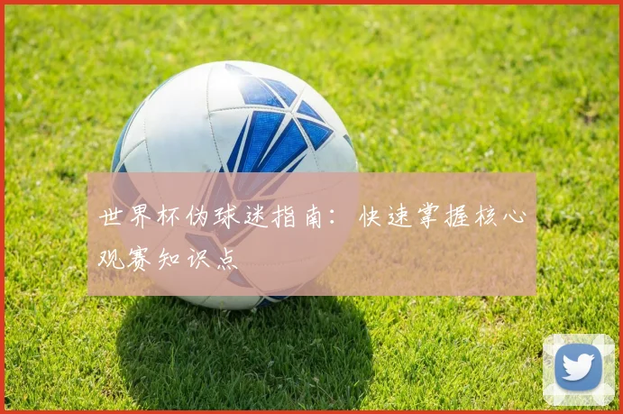 世界杯伪球迷指南:快速掌握核心观赛知识点