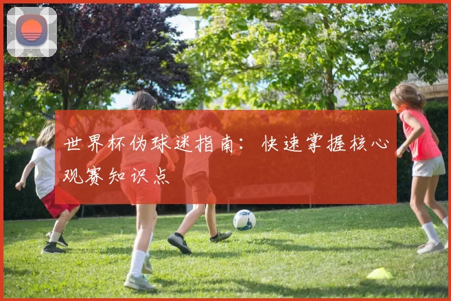 世界杯伪球迷指南：快速掌握核心观赛知识点