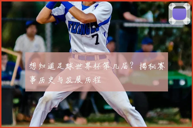 想知道足球世界杯第几届？揭秘赛事历史与发展历程