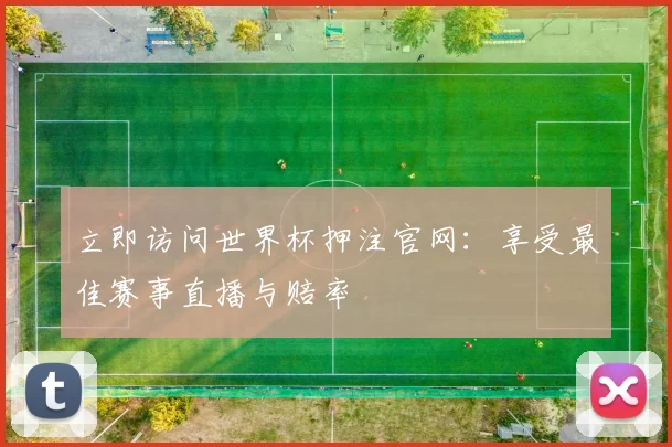 立即访问世界杯押注官网：享受最佳赛事直播与赔率
