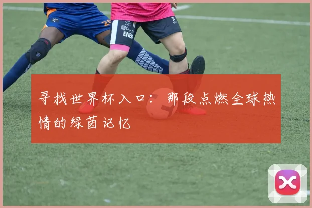 寻找世界杯入口:那段点燃全球热情的绿茵记忆