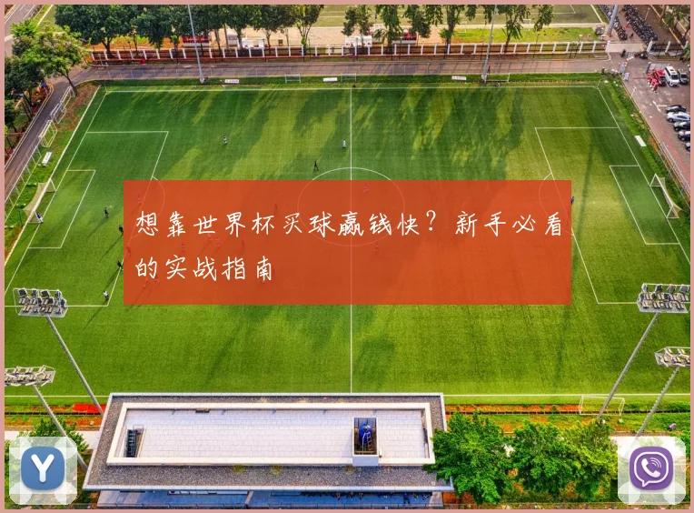 想靠世界杯买球赢钱快？新手必看的实战指南